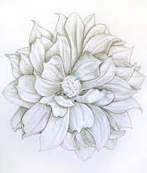 Dahlia Tattoo Flower Drawing Dahlia Tattoo Art
