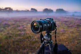 The best cameras for wildlife photography tend to have good iso capabilities. The Best Landscape Photography Lenses For Sony E Mount Ca