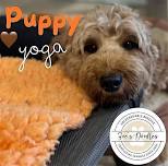 Puppy Yoga with Zoe’s Doodles at Let’s Move Studio