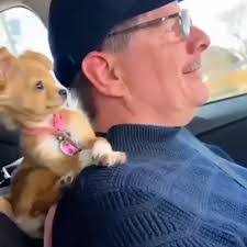 Mary Pascucci's Instagram, Twitter & Facebook