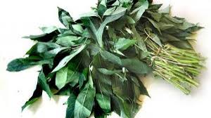 Beli daun pepaya sayur online berkualitas dengan harga murah terbaru 2021 di tokopedia! 17 Khasiat Daun Singkong Bagi Kesehatan Halosehat