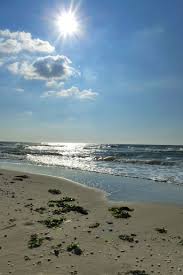 Wir sind eine gemeinschaft von 6 campingplätzen, die auf dem kieler ostufer liegen. Ferienwohnungen Am Meer Ferien Am Meer Muhlhoff