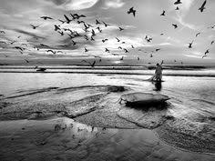 Lavita married walter leroy andrews. Andrew Hoang Ahoang53 On Pinterest