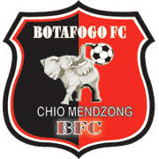 Botafogo de futebol e regatas clube de regatas do flamengo campeonato brasileiro série a campeonato carioca sport club mangueira, botafogo de futebol e regatas png. Botafogo Fc Buea Club Profile Transfermarkt