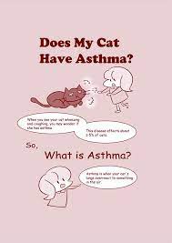 Check spelling or type a new query. Does My Cat Have Asthma Vetzinsight Vin