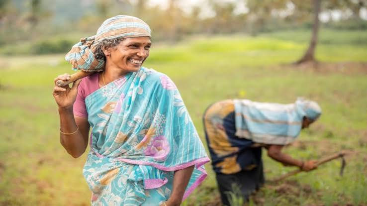 Maharashtra :महिला किसानों के लिए बड़ा फैसला, बिना जमीन भी मिलेंगे सरकारी योजनाओं के लाभ - Maharashtra Major Decision For Women Farmers Benefits Government Schemes Available Even Without Land Ownership - Amar Ujala Hindi News Live