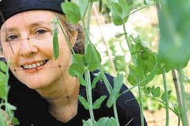 Pioneering restaurant Chez Panisse turns 40