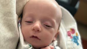 Fundraiser for Hailey Starkey by Stephanie Paul : In Loving Memory of  Zedekiah and his journey with CRELD1