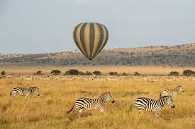 Fly high above the Serengeti on a hot air balloon safari - Alfred&