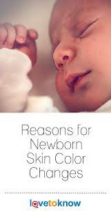 Pin On Pregnancy Babies