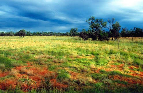 Mga resulta ng larawan para sa Australian savanna"