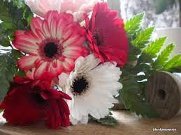 Could you name a plant that has an 'x' in it? 31 Flowers That Start With G Ideas Flowers Planting Flowers Beautiful Flowers