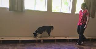 Here is where smart smoke detectors come into the picture, they have the ability to notify you even if you are not home.this is not without a smart detectors are still fairly expensive. Training Methodology For Canine Scent Detection Of A Critically Endangered Lagomorph A Conservation Case Study