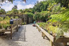 How to open a garden centre. Trebah Plant Centre Is Open Trebah Garden Cornwall