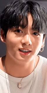 Jeon Jungkook's charming appearance and fan appreciation