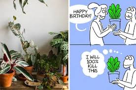 Birds Nest Fern Cats 15 Houseplants That Are Beautiful And Safe For Cats And Dogs In 2020 Vegetable Scraps Indoor Plants Regrow Vegetables