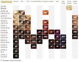 Argan oil locks in the color and also protects from damage. Argan Oil Hair Color Argan Oil Hair Color Hair Color Chart Argan Oil Hair