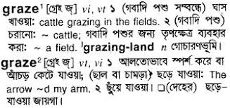 English To Bengali Meaning Of Graze Bdword Com