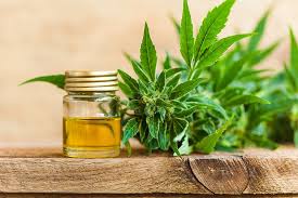 They are utilized by providing power to the heating chamber, which then heats your oils until it produces vapor. 10 Things You Need To Know Before Vaping Cbd Oil Vaping360
