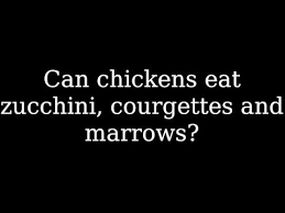 Chickens cannot eat the plant, leaves, or flowers; Can Chickens Eat Zucchini And Courgette Youtube