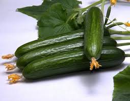 ‫اسیداوریک‬‎