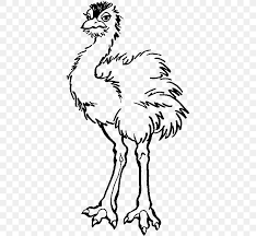 Printable ostrich alphabet s830c coloring page. Common Ostrich Coloring Book Child Animal Png 600x756px Common Ostrich Animal Artwork Beak Bird Download Free