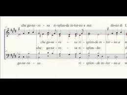 Ortolani raggiunge questo risultato sublime di fondere così intimamente musica e parole da rendere il canto un messaggio luminoso di amore. Dolce Sentire Fratello Sole Sorella Luna Youtube