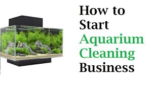 Check spelling or type a new query. How To Start Uk Based Aquarium Cleaning Business Business Daily 24