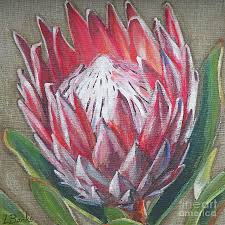 Protea By Leigh Banks Protea Art Flower Art Flower Painting