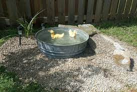 Diy Duck Pond Backyard Ducks Duck Coop Pet Ducks
