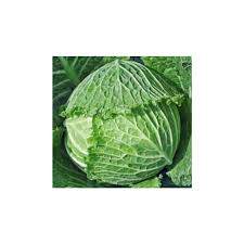 Image result for hlávková kapusta