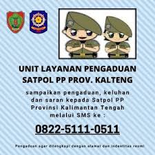 (2)satpol pp kabupaten/kota dalam melaksanakan tugasnya bertanggung jawab kepada bupati/wali kota melalui sekretaris daerah kabupaten/kota. Satpol Pp Provinsi Kalimantan Tengah Praja Wibawa