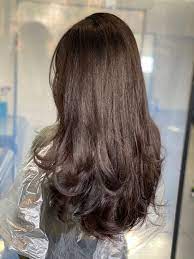 Thick Long Dark Hair With Long Layers In A U Shape Long Dark Hair Asian Hair Haircut For Thick Hair