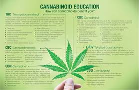 Enroll in a health plan that will meet your needs and fits your budget. Medical Marijuana Card Doctors Of Queen Creek Home Facebook