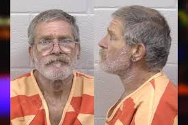 John Brickell — Paulding County Jail Bookings