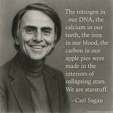 The nitrogen in our DNA, the calcium in our teeth, the iron in our blood,  the carbon in our apple pies were made in the interiors of collapsing  stars. We are made