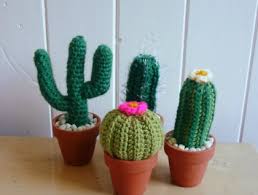 Moon cacti with spherical shape and vibrant red color, which can flourish in warm and dry environments. Plants You Can T Kill Crochet Cactus With Flower Felt