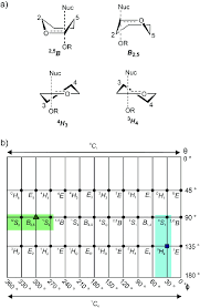 Find the perfect home furnishings at hayneedle, where you can buy online while you explore our room designs and curated looks for tips, ideas & inspiration to help you along the way. A Common Half Chair And Boat Transition State Conformations Download Scientific Diagram
