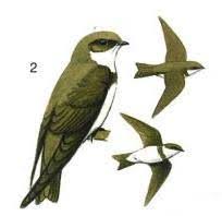 These sentences come from external sources and may not be accurate. Dedali Dedali