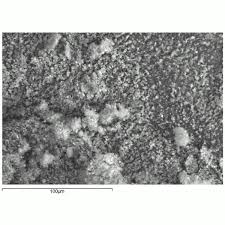 Image result for French Blue 1983 Hussmann