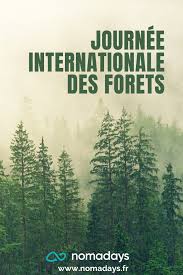 L'onu d'?tablir la journ?e internationale de yoga. Celebrons La Journee Internationale Des Forets Foret Voyage Solidaire Voyage