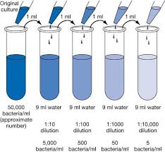 Pin By Worldofchemicals On Amazing Facts Of Science Medical Laboratory Science Teaching Chemistry Microbiology Lab