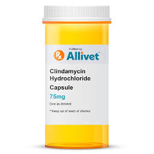 Image result for Clindamycin