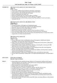 >>> create a professional resume in just 3 steps with the amazing resume builder (it's free!). Hbo Executive Assistant Resume Samples Velvet Jobs