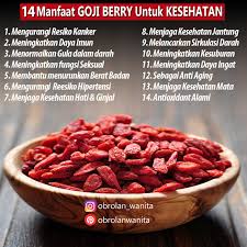Menyebarkan goji berry dapat dilakukan dengan dua cara: Testimoni Tea Goji Berry