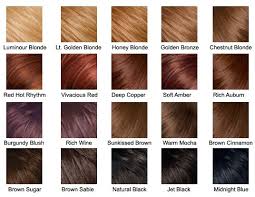 Hair Color Chart Hair Biondo Ramato Biondo Rame