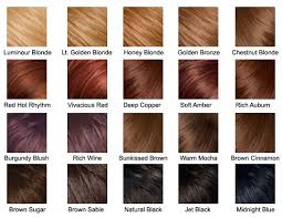 hair color chart hair biondo ramato biondo rame