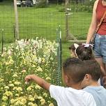 Farm School: Friendly Fields