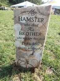 images?q=tbn:ANd9GcTlkgaQ0bzjjP7Jq5fWUrspBPY2B5c8DKEjLNX2d82sfYTbAUE-