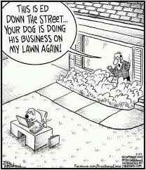 Funny Pictures Of The Day 45 Pics Cartoon Jokes Funny Cartoons Jokes Funny Cartoons